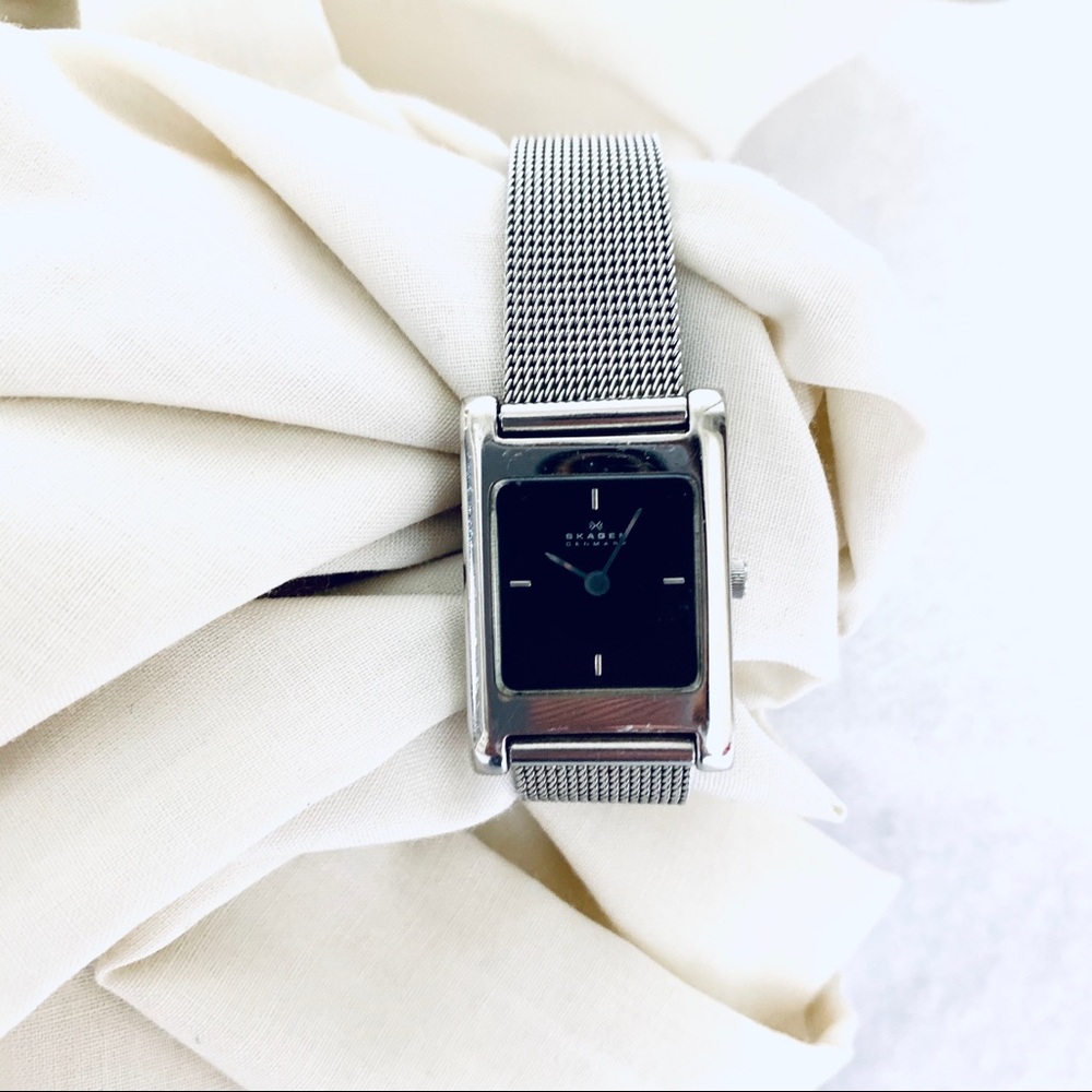 Skagen Denmark Watch Silver Mesh Bank